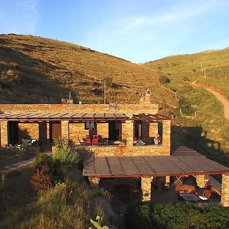 Feet-in-water House Pisses